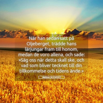 Picture 05 - Matteus 24:3 SV1917 - När han sedan satt på Oljeberget, trädde hans - Bible Verse Picture