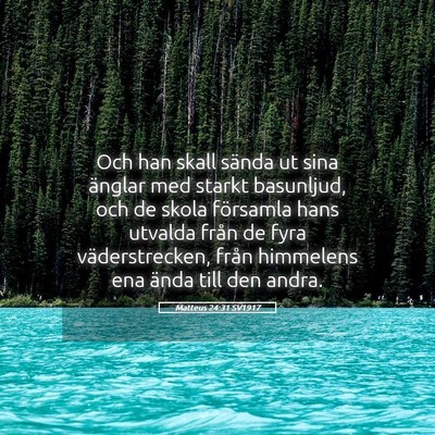 Picture 05 - Matteus 24:31 SV1917 - Och han skall sända ut sina änglar med starkt - Bible Verse Picture