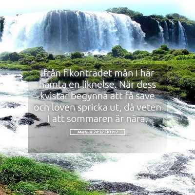 Picture 05 - Matteus 24:32 SV1917 - Ifrån fikonträdet mån I här hämta en - Bible Verse Picture