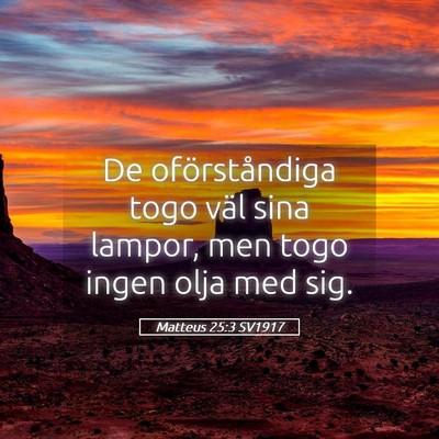 Picture 05 - Matteus 25:3 SV1917 - De oförståndiga togo väl sina lampor, men togo - Bible Verse Picture