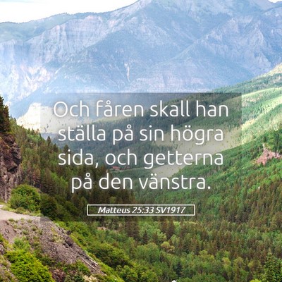 Picture 05 - Matteus 25:33 SV1917 - Och fåren skall han ställa på sin högra sida, - Bible Verse Picture