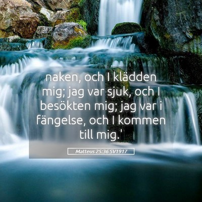 Picture 05 - Matteus 25:36 SV1917 - naken, och I klädden mig; jag var sjuk, och I - Bible Verse Picture