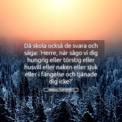 Picture 05 - Matteus 25:44 SV1917 - Då skola också de svara och säga: 'Herre, när - Bible Verse Picture