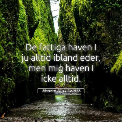 Picture 05 - Matteus 26:11 SV1917 - De fattiga haven I ju alltid ibland eder, men mig - Bible Verse Picture