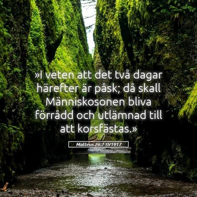 Picture 05 - Matteus 26:2 SV1917 - »I veten att det två dagar härefter är påsk; - Bible Verse Picture