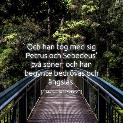 Picture 05 - Matteus 26:37 SV1917 - Och han tog med sig Petrus och Sebedeus' två - Bible Verse Picture