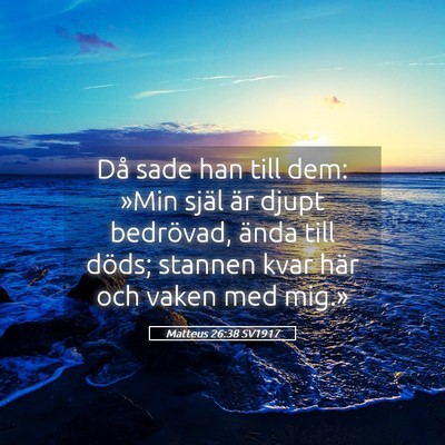 Picture 05 - Matteus 26:38 SV1917 - Då sade han till dem: »Min själ är djupt - Bible Verse Picture