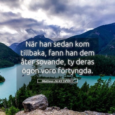 Picture 05 - Matteus 26:43 SV1917 - När han sedan kom tillbaka, fann han dem åter - Bible Verse Picture