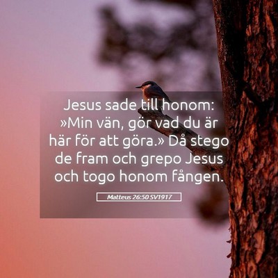 Picture 05 - Matteus 26:50 SV1917 - Jesus sade till honom: »Min vän, gör vad du - Bible Verse Picture