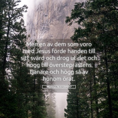 Picture 05 - Matteus 26:51 SV1917 - Men en av dem som voro med Jesus förde handen - Bible Verse Picture