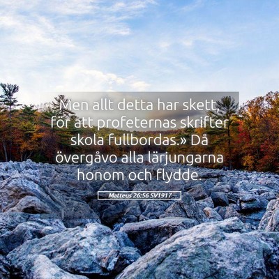 Picture 05 - Matteus 26:56 SV1917 - Men allt detta har skett, för att profeternas - Bible Verse Picture