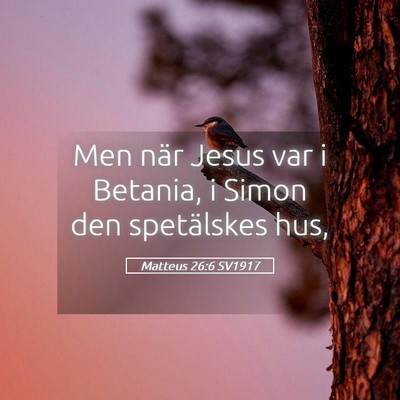 Picture 05 - Matteus 26:6 SV1917 - Men när Jesus var i Betania, i Simon den - Bible Verse Picture