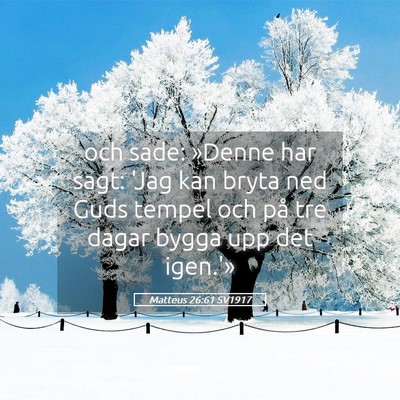 Picture 05 - Matteus 26:61 SV1917 - och sade: »Denne har sagt: 'Jag kan bryta ned - Bible Verse Picture
