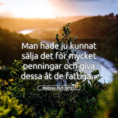 Picture 05 - Matteus 26:9 SV1917 - Man hade ju kunnat sälja det för mycket - Bible Verse Picture