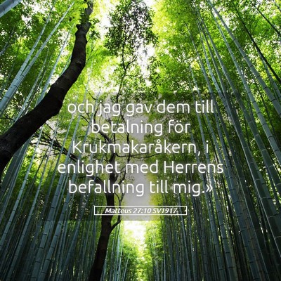 Picture 05 - Matteus 27:10 SV1917 - och jag gav dem till betalning för - Bible Verse Picture