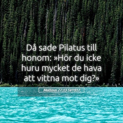 Picture 05 - Matteus 27:13 SV1917 - Då sade Pilatus till honom: »Hör du icke huru - Bible Verse Picture