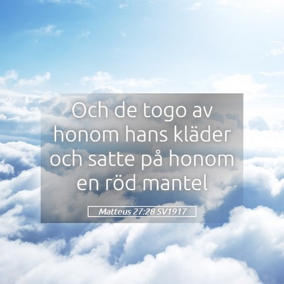Picture 05 - Matteus 27:28 SV1917 - Och de togo av honom hans kläder och satte på - Bible Verse Picture