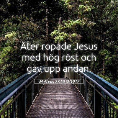 Picture 05 - Matteus 27:50 SV1917 - Åter ropade Jesus med hög röst och gav upp - Bible Verse Picture