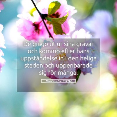 Picture 05 - Matteus 27:53 SV1917 - De gingo ut ur sina gravar och kommo efter hans - Bible Verse Picture