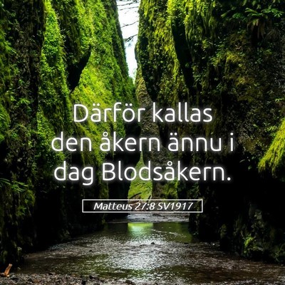 Picture 05 - Matteus 27:8 SV1917 - Därför kallas den åkern ännu i dag - Bible Verse Picture