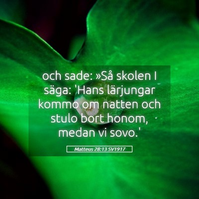Picture 05 - Matteus 28:13 SV1917 - och sade: »Så skolen I säga: 'Hans lärjungar - Bible Verse Picture