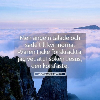 Picture 05 - Matteus 28:5 SV1917 - Men ängeln talade och sade till kvinnorna: - Bible Verse Picture