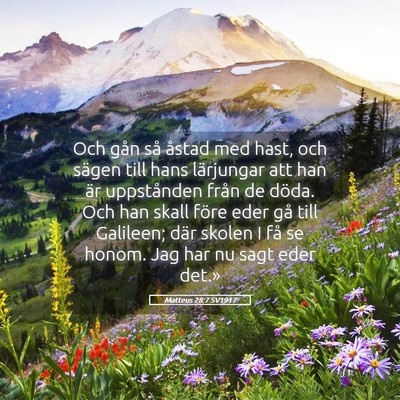 Picture 05 - Matteus 28:7 SV1917 - Och gån så åstad med hast, och sägen till - Bible Verse Picture