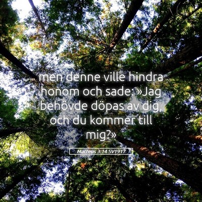 Picture 05 - Matteus 3:14 SV1917 - men denne ville hindra honom och sade: »Jag - Bible Verse Picture