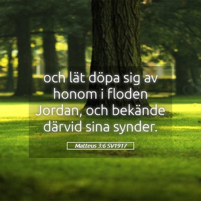 Picture 05 - Matteus 3:6 SV1917 - och lät döpa sig av honom i floden Jordan, och - Bible Verse Picture
