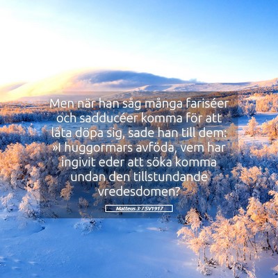 Picture 05 - Matteus 3:7 SV1917 - Men när han såg många fariséer och sadducéer - Bible Verse Picture