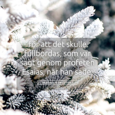 Picture 05 - Matteus 4:14 SV1917 - för att det skulle fullbordas, som var sagt - Bible Verse Picture