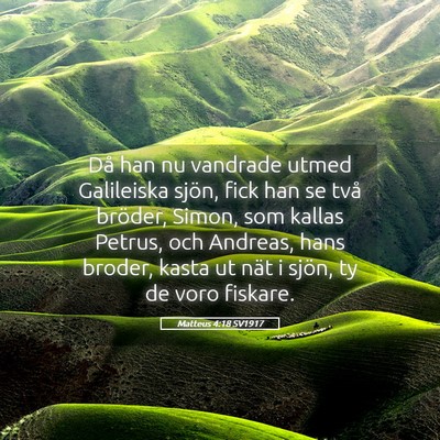 Picture 05 - Matteus 4:18 SV1917 - Då han nu vandrade utmed Galileiska sjön, fick - Bible Verse Picture