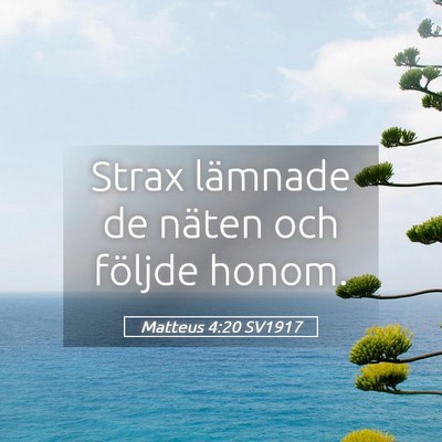 Picture 05 - Matteus 4:20 SV1917 - Strax lämnade de näten och följde - Bible Verse Picture