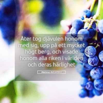 Picture 05 - Matteus 4:8 SV1917 - Åter tog djävulen honom med sig, upp på ett - Bible Verse Picture