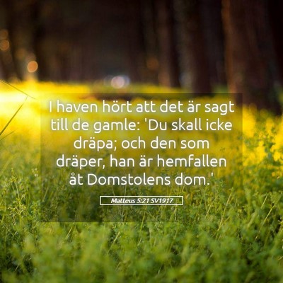 Picture 05 - Matteus 5:21 SV1917 - I haven hört att det är sagt till de gamle: 'Du - Bible Verse Picture