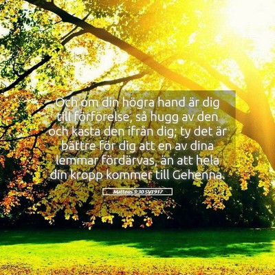 Picture 05 - Matteus 5:30 SV1917 - Och om din högra hand är dig till förförelse, - Bible Verse Picture