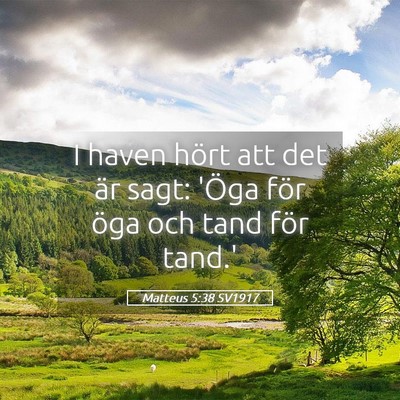 Picture 05 - Matteus 5:38 SV1917 - I haven hört att det är sagt: 'Öga för öga - Bible Verse Picture