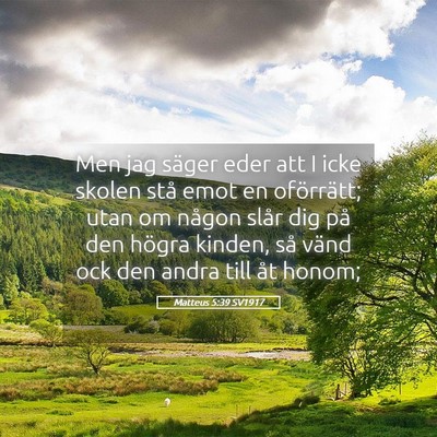 Picture 05 - Matteus 5:39 SV1917 - Men jag säger eder att I icke skolen stå emot - Bible Verse Picture