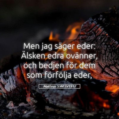 Picture 05 - Matteus 5:44 SV1917 - Men jag säger eder: Älsken edra ovänner, och - Bible Verse Picture