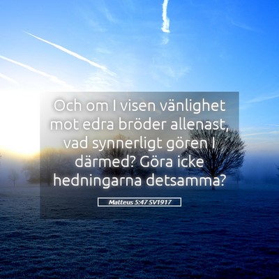 Picture 05 - Matteus 5:47 SV1917 - Och om I visen vänlighet mot edra bröder - Bible Verse Picture