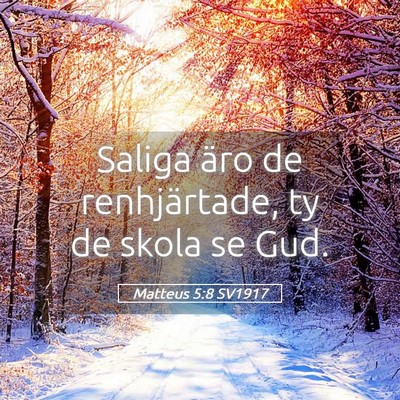 Picture 05 - Matteus 5:8 SV1917 - Saliga äro de renhjärtade, ty de skola se - Bible Verse Picture
