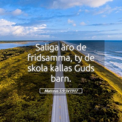 Picture 05 - Matteus 5:9 SV1917 - Saliga äro de fridsamma, ty de skola kallas Guds - Bible Verse Picture
