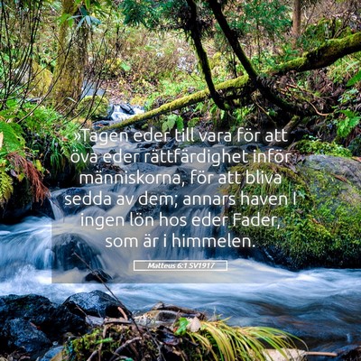 Picture 05 - Matteus 6:1 SV1917 - »Tagen eder till vara för att öva eder - Bible Verse Picture