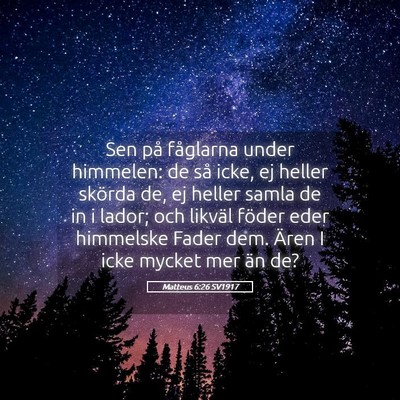 Picture 05 - Matteus 6:26 SV1917 - Sen på fåglarna under himmelen: de så icke, ej - Bible Verse Picture