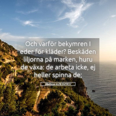 Picture 05 - Matteus 6:28 SV1917 - Och varför bekymren I eder för kläder? - Bible Verse Picture