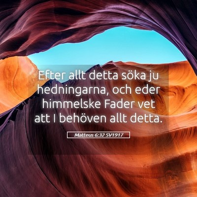 Picture 05 - Matteus 6:32 SV1917 - Efter allt detta söka ju hedningarna, och eder - Bible Verse Picture