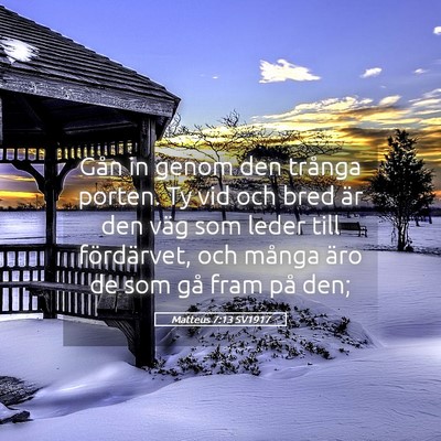 Picture 05 - Matteus 7:13 SV1917 - Gån in genom den trånga porten. Ty vid och bred - Bible Verse Picture