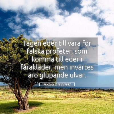 Picture 05 - Matteus 7:15 SV1917 - Tagen eder till vara för falska profeter, som - Bible Verse Picture