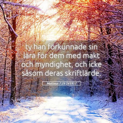 Picture 05 - Matteus 7:29 SV1917 - ty han förkunnade sin lära för dem med makt - Bible Verse Picture