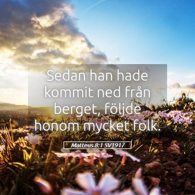 Picture 05 - Matteus 8:1 SV1917 - Sedan han hade kommit ned från berget, följde - Bible Verse Picture